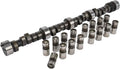 Hydraulic Flat Tappet Camshaft & Lifters for Chevy 262-400 Engines, Lift 0.488” / 0.510” D106