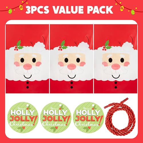 3 Pcs Christmas Gift Bags with Gift Tag M264