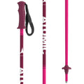 Ski Poles W974
