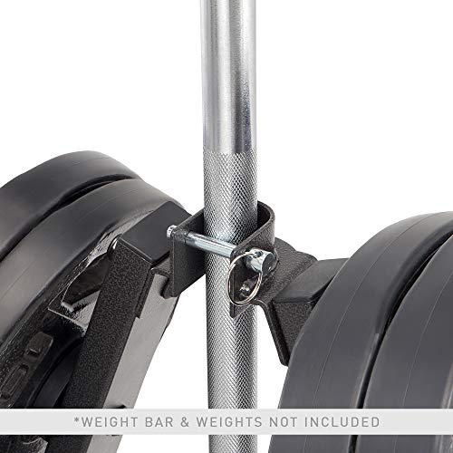 Olympic Weight Plate Tree Weight Storage Rack H810082
