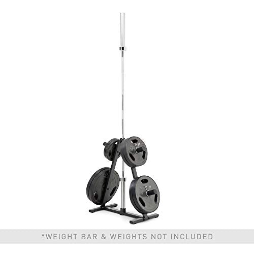 Olympic Weight Plate Tree Weight Storage Rack H810082