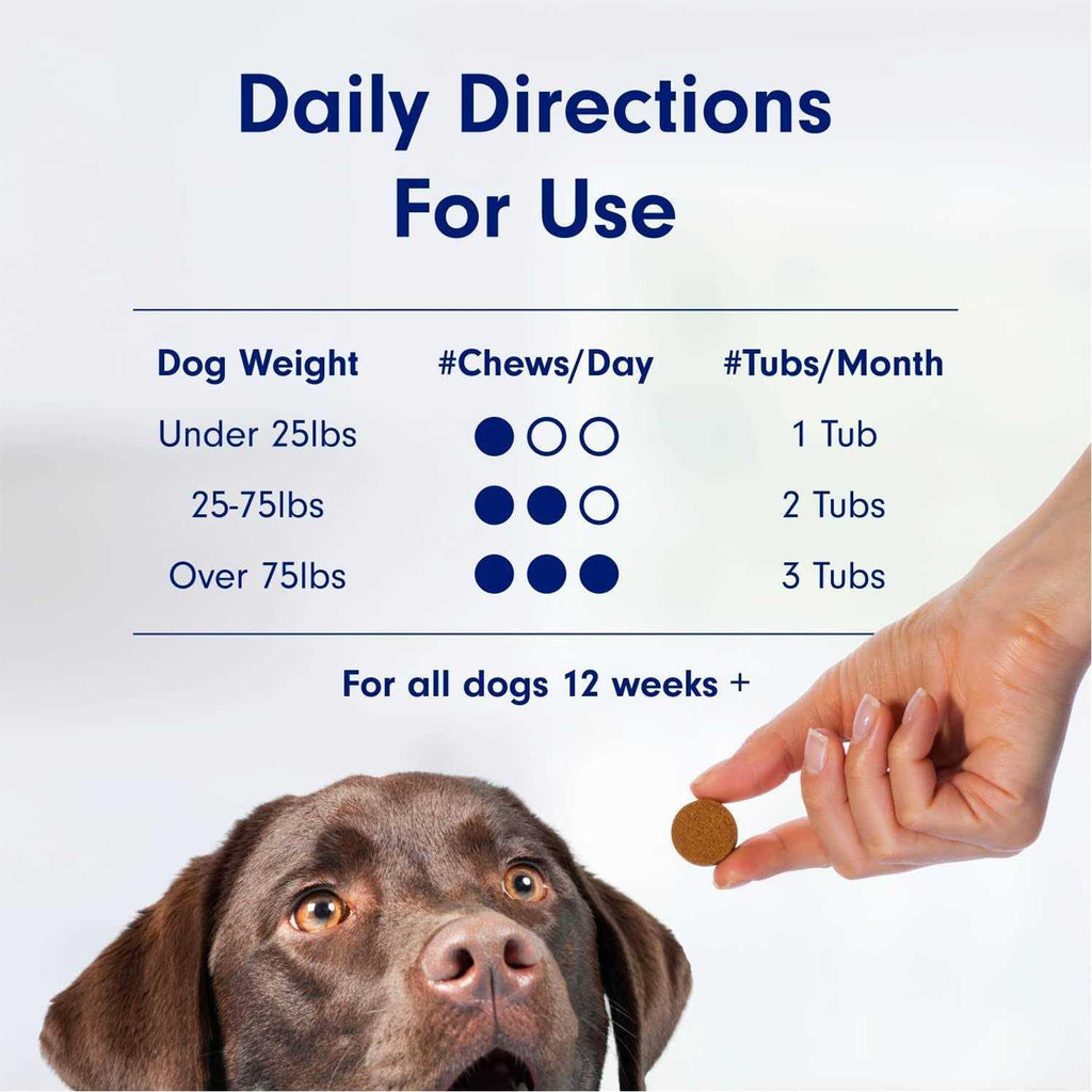 Probiotics for Dogs Y19651