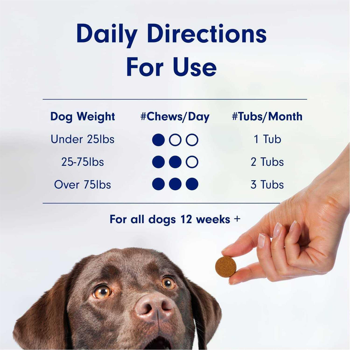 Probiotics for Dogs Y19651