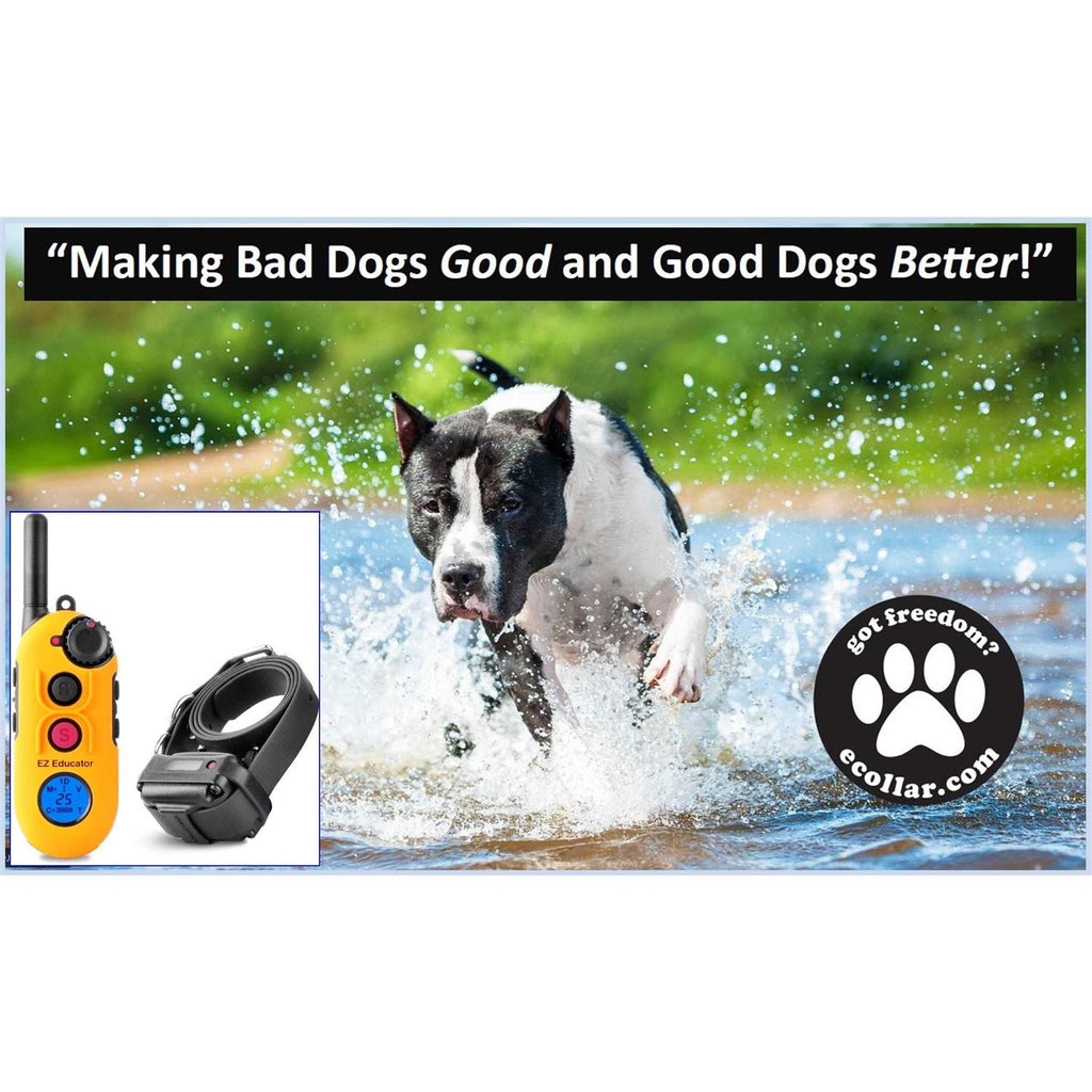 Remote Dog Training Collar with Vibration J9055