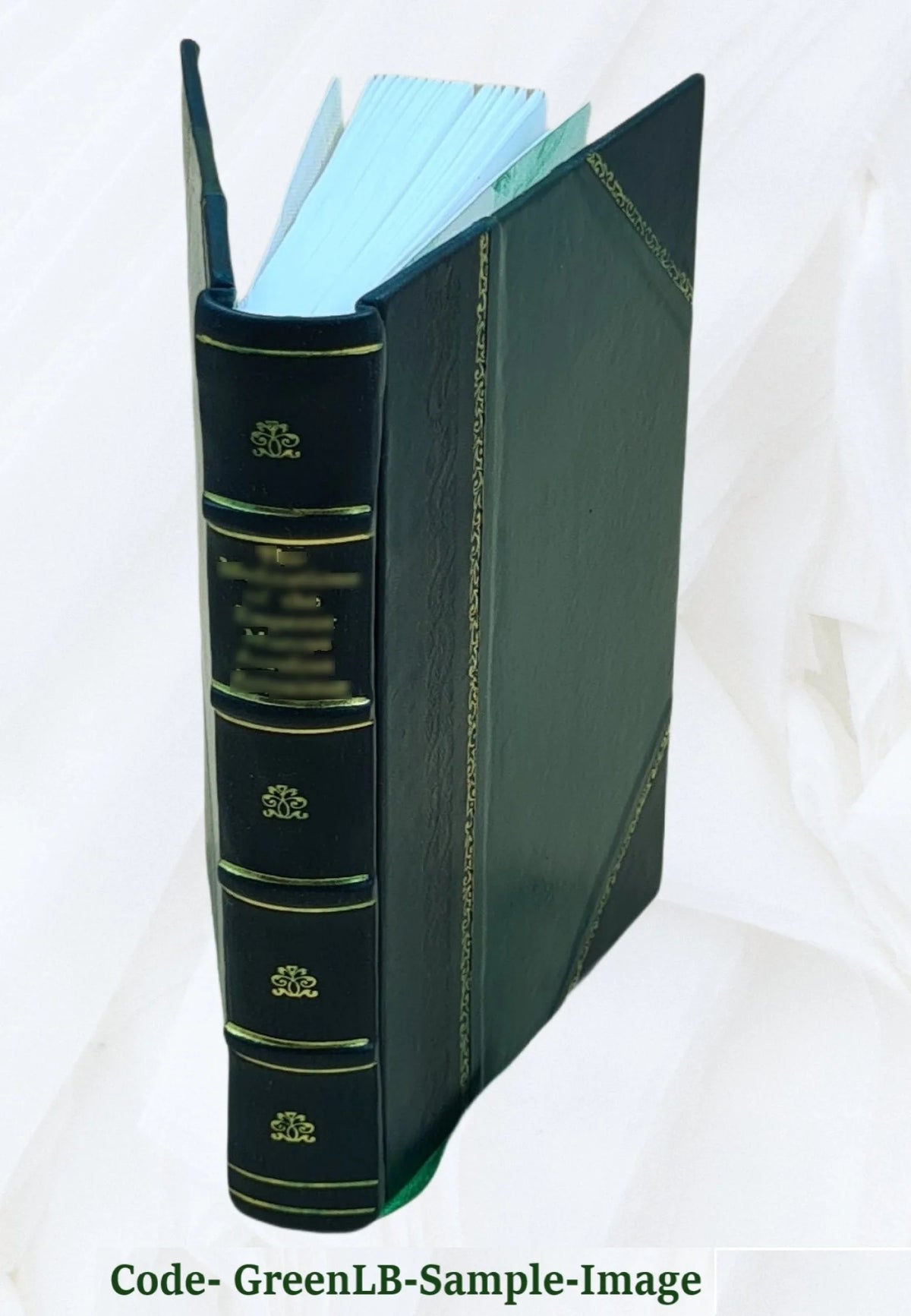 Leather Bound Book X86367