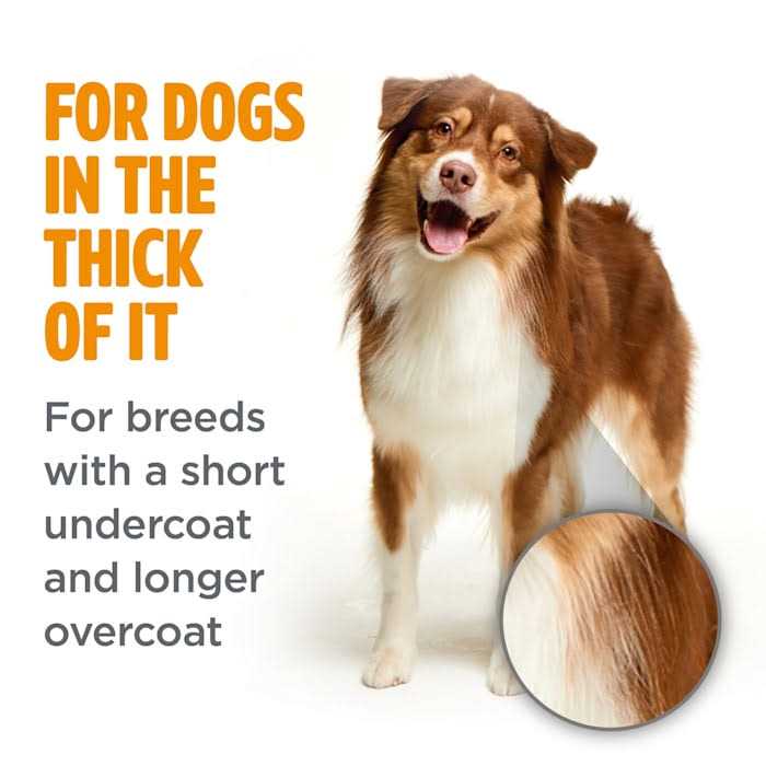 Double Coat Shampoo for Dogs T572