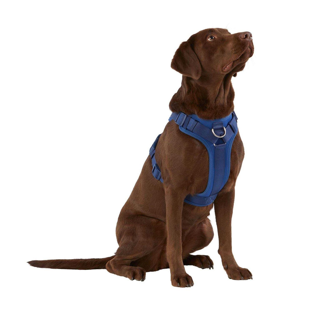 Neoprene Dog Harness T68426