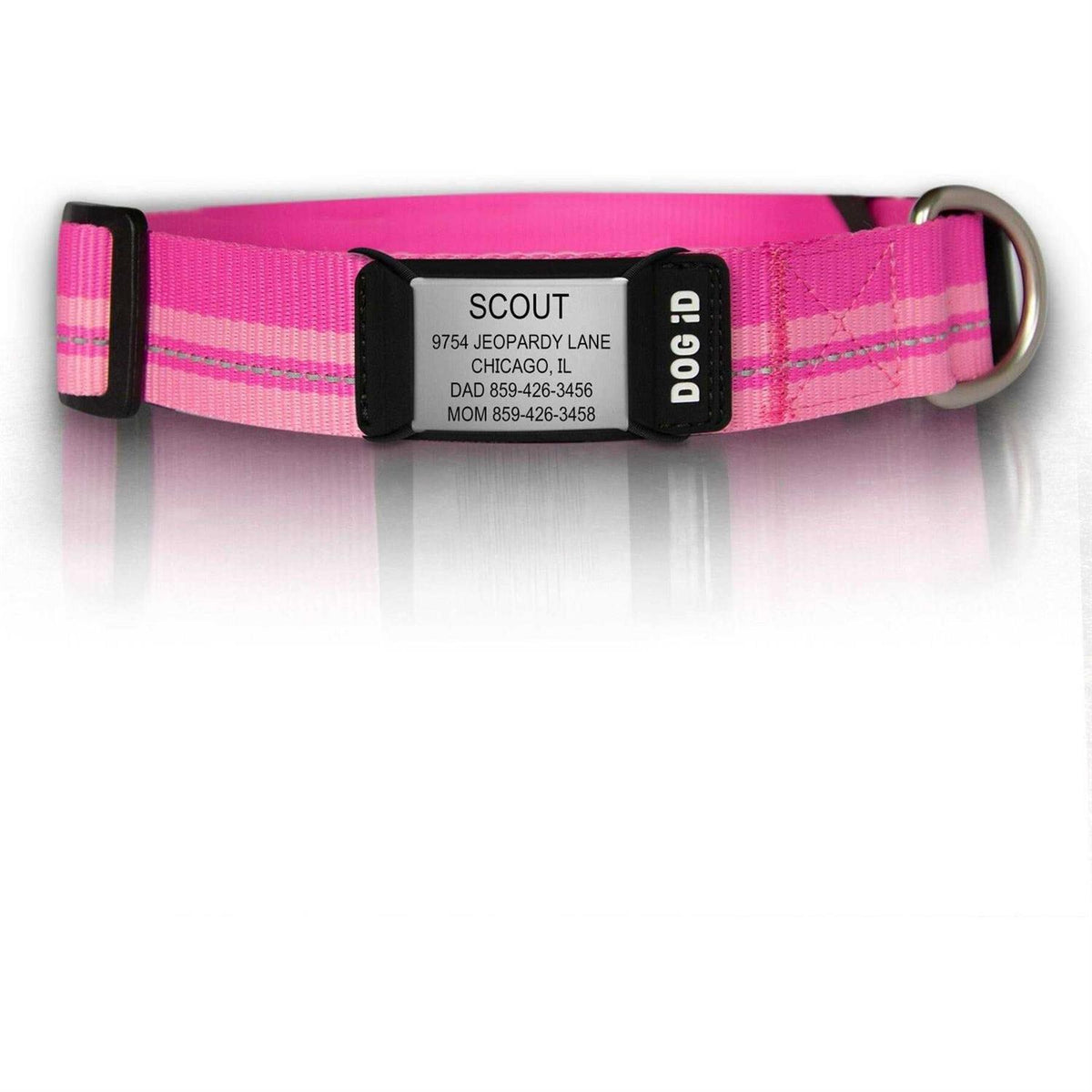 Personalized ID Tag Dog Collar D238120