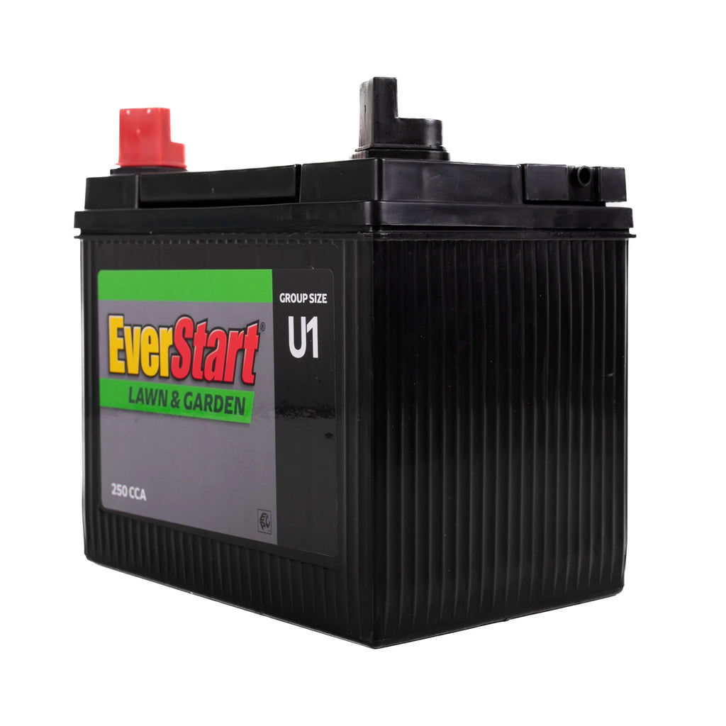 12 Volt 250 CCA Lead Acid Lawn and Garden Battery Z192