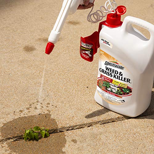 Weed & Grass Killer Refill, 1.3 Gallon Y6578