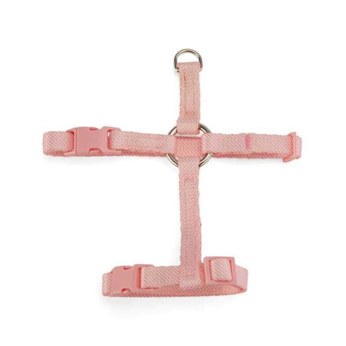 Kitten Harness & Leash Set Z716382