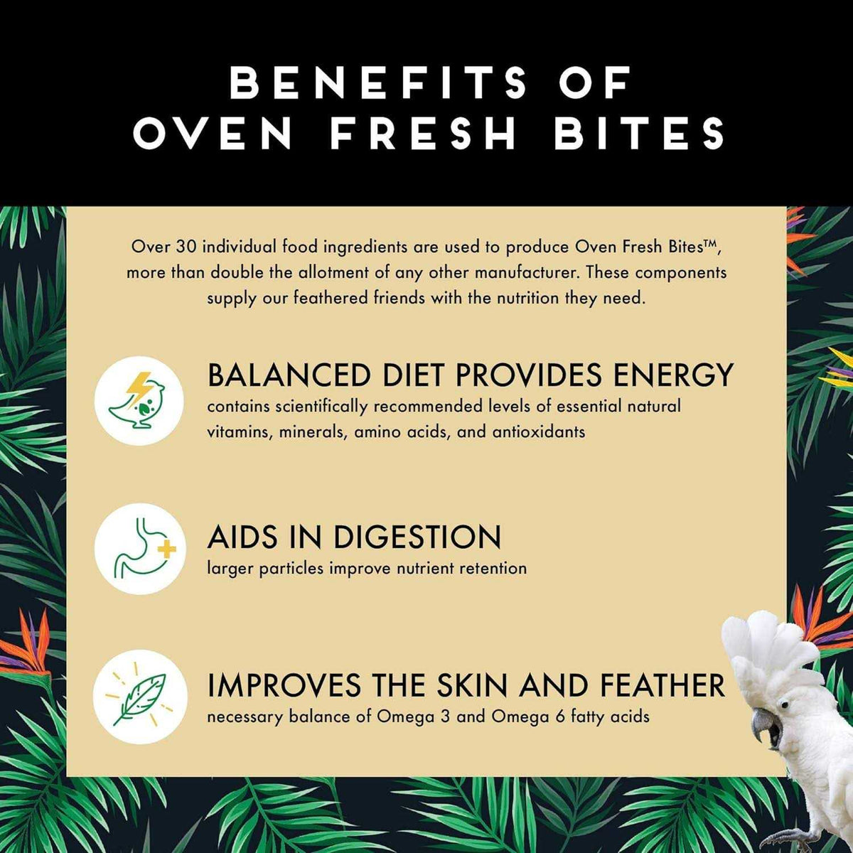 Oven Fresh Bites Large K342