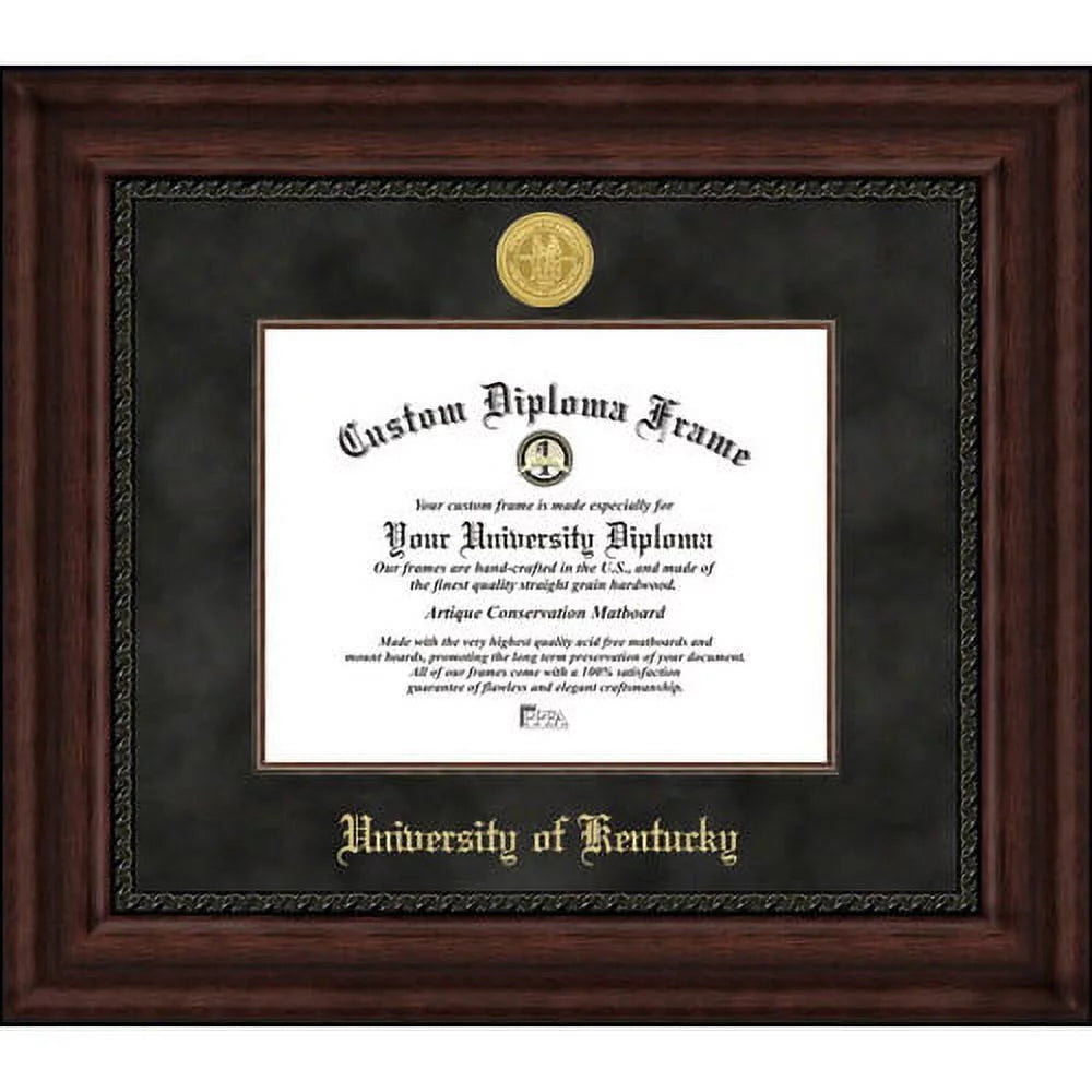 University of Illinois Executive Diploma Frame L845382