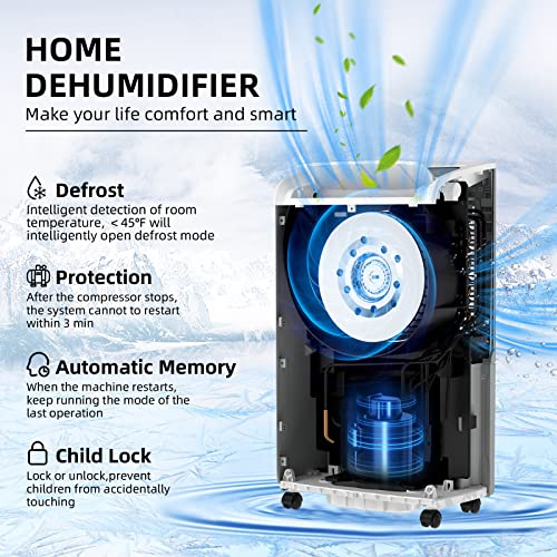 70 Pint Dehumidifier with Drain Hose T83775