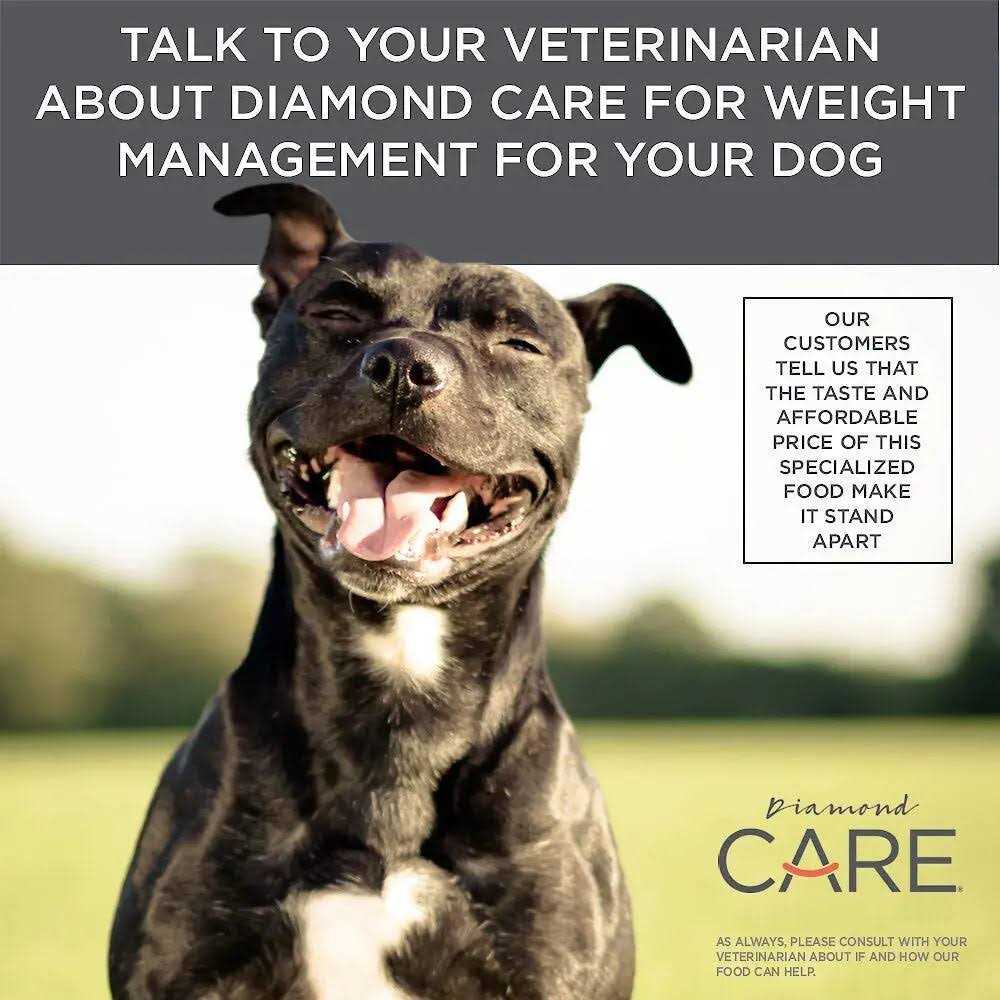 Adult Dry Dog Food R81741
