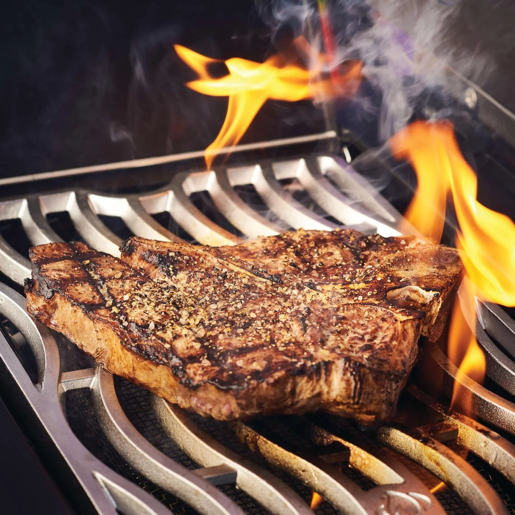 Propane Grill with Infrared Rear Burner, Infrared Side Burner, Rotisserie Kit E6201