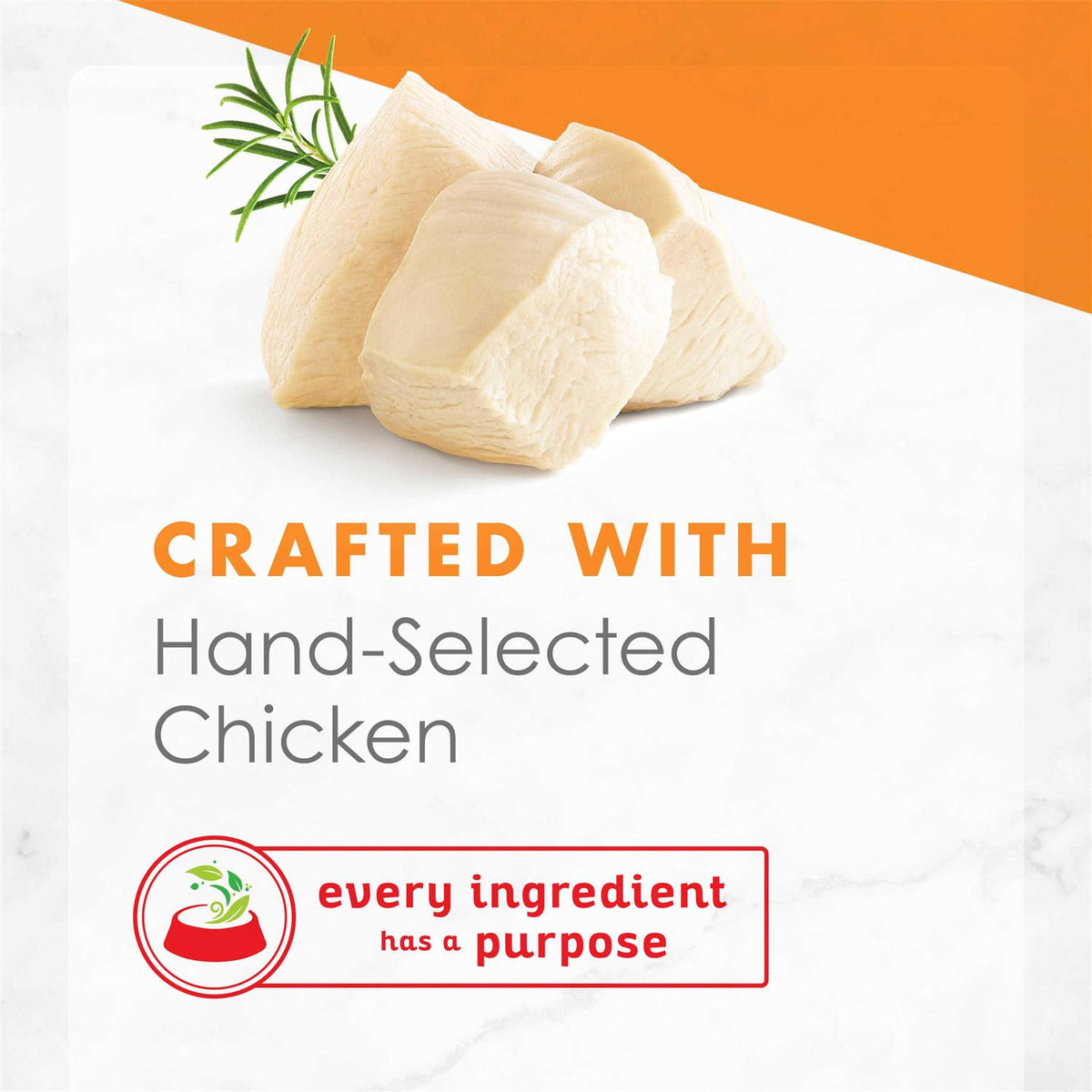 White Meat Chicken Broth Wet Cat Food Y196662