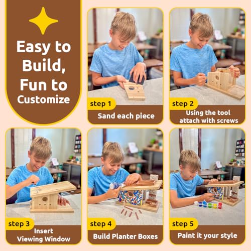 Woodworking Kit DIY Birdhouse F6169