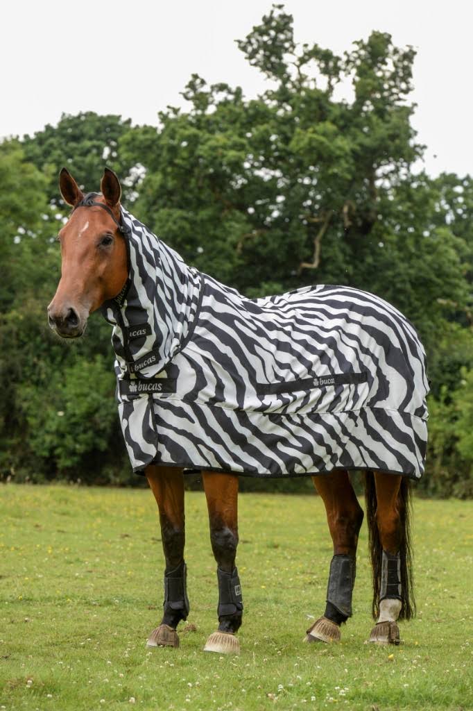 Zebra Sweet Itch E6569
