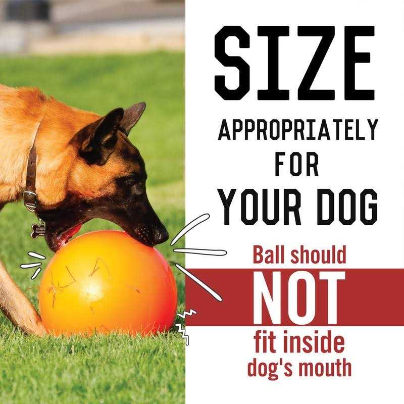 Virtually Indestructible Ball F132