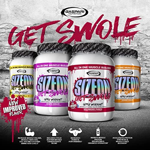 3.59 Pound Lemon Ice Creatine Formula K258670