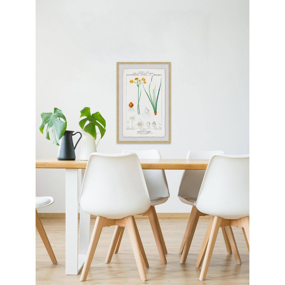 Framed Print B73361