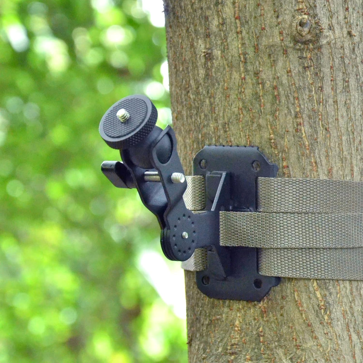 Trail Camera Mounting Bracket H59478