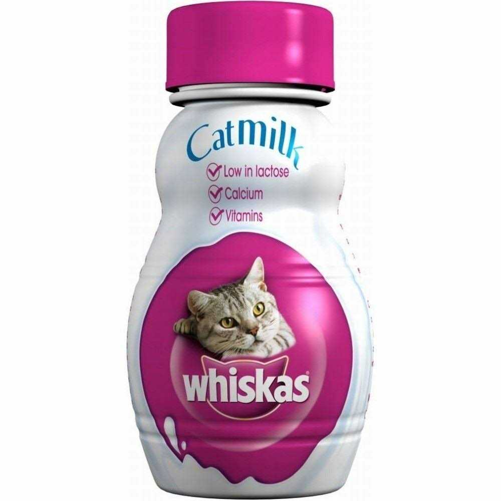 Cat Milk Z684268