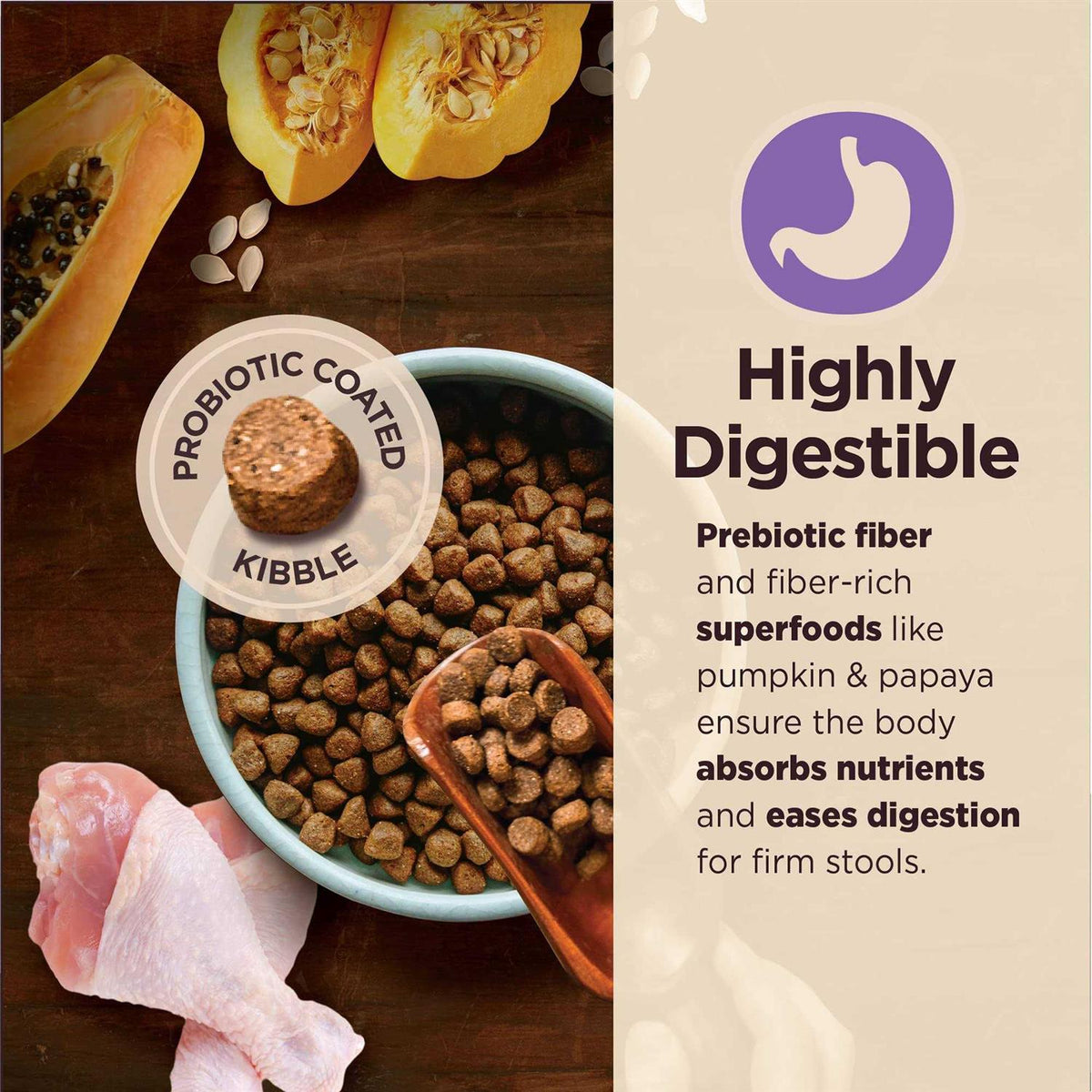 Senior Dry Dog Food L616