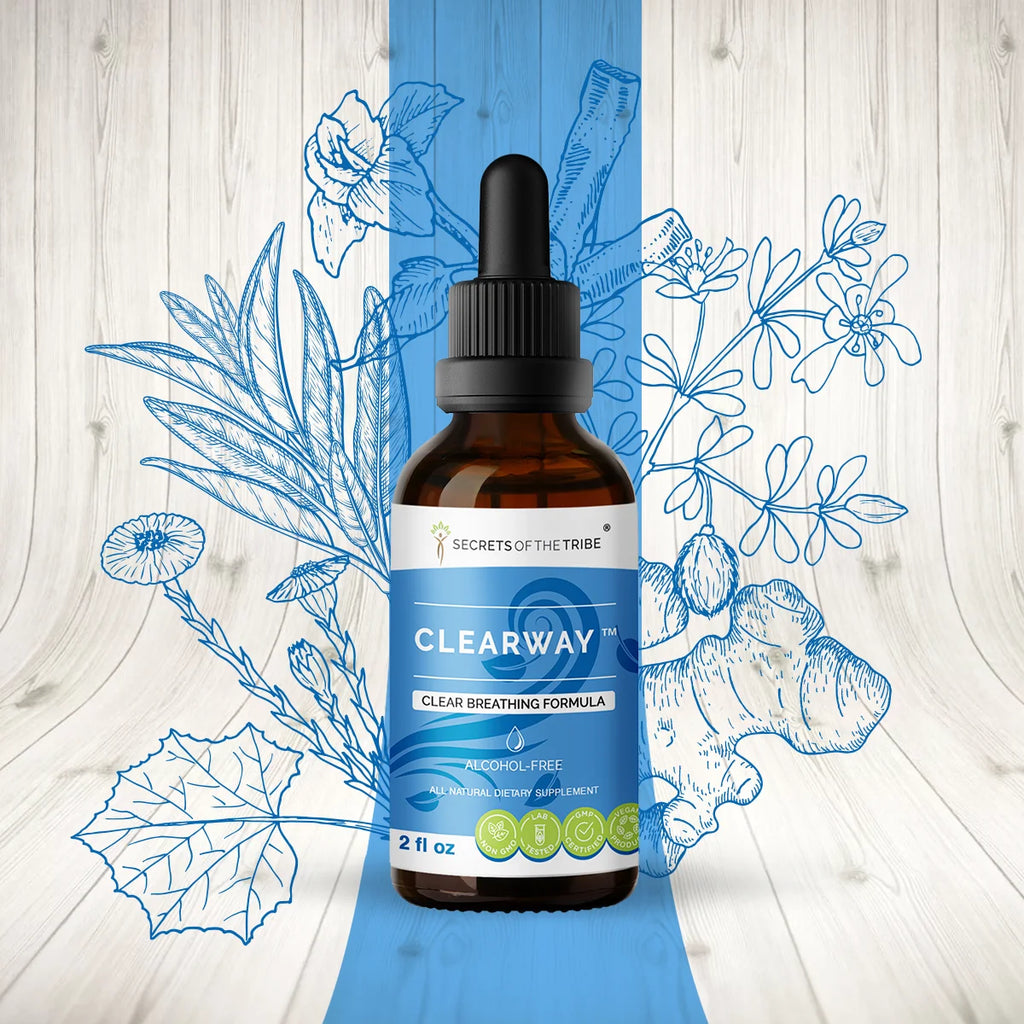 Licorice, Chaparral, Ginger, Thyme, Sage, Peppermint Glycerite Tincture 2 oz V283