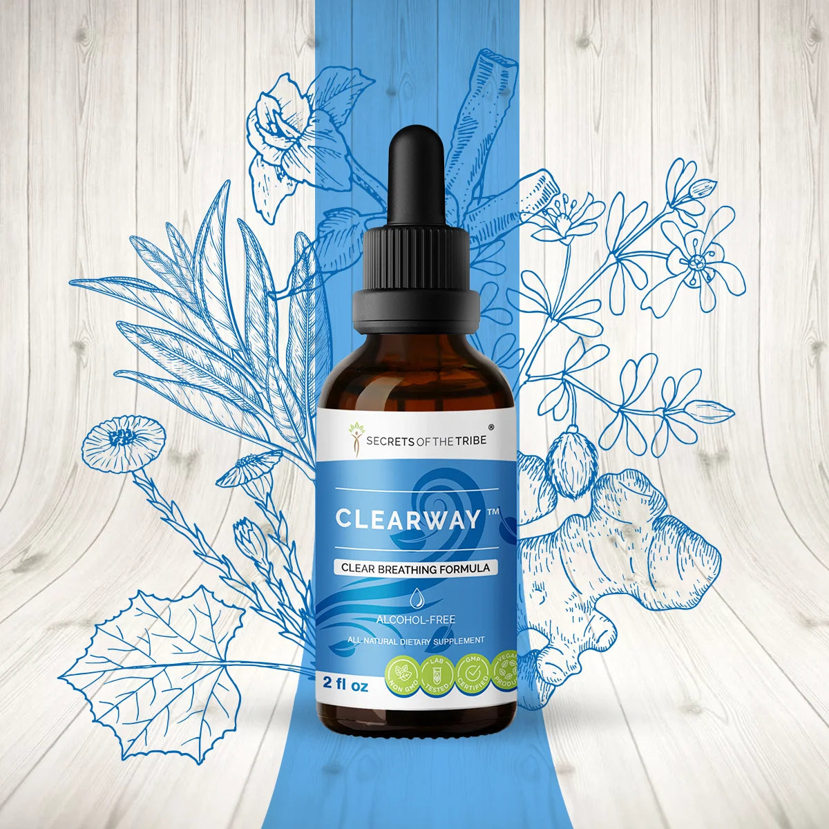 Licorice, Chaparral, Ginger, Thyme, Sage, Peppermint Glycerite Tincture 2 oz V283