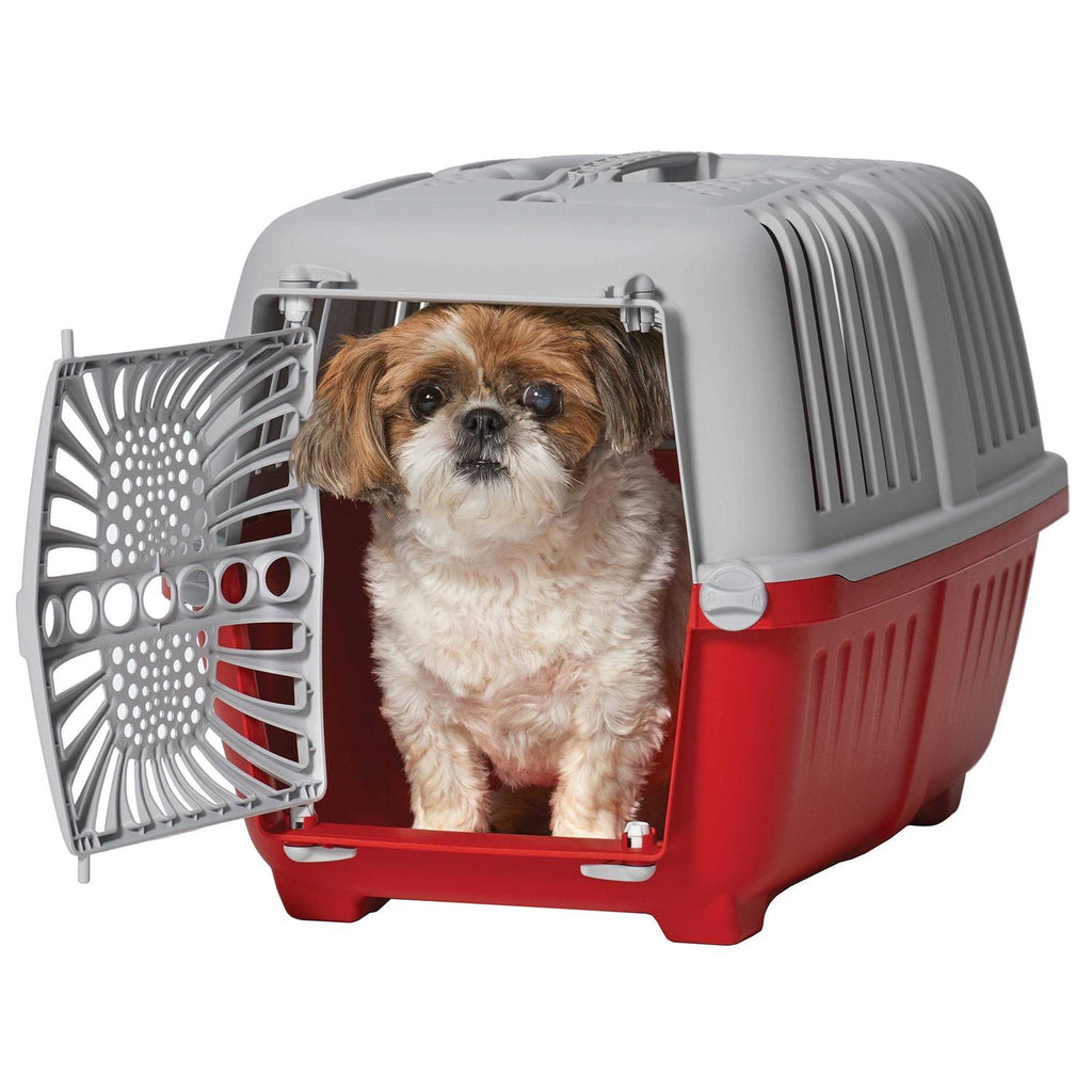 Plastic Door Travel Carrier Pet Kennel Z9634