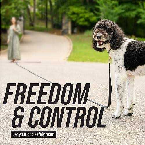 Dog Leash O50112