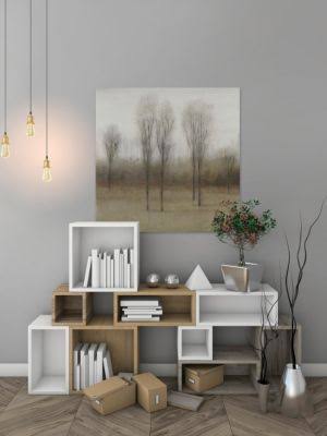 Framed Print B73361