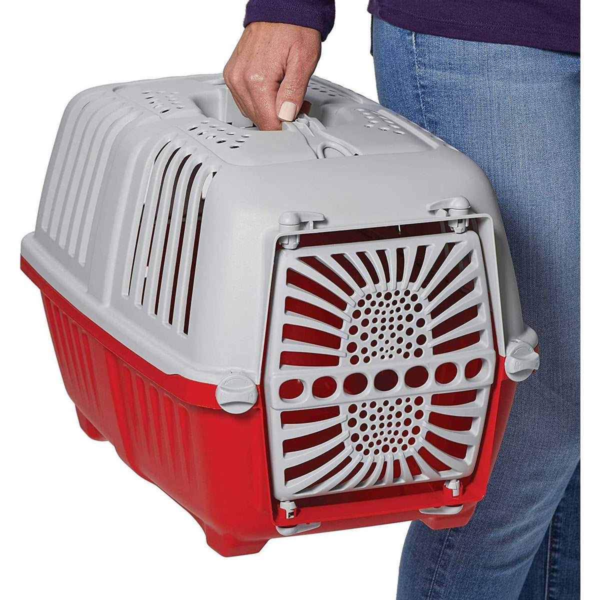 Plastic Door Travel Carrier Pet Kennel Z9634