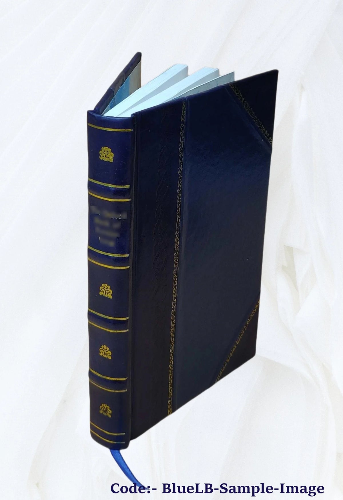 Leather Bound Book X86367