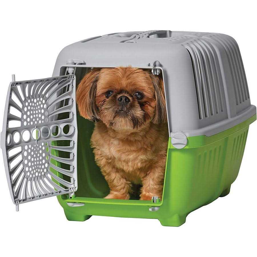 Plastic Door Travel Carrier Pet Kennel Z9634