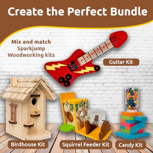 Woodworking Kit DIY Birdhouse F6169