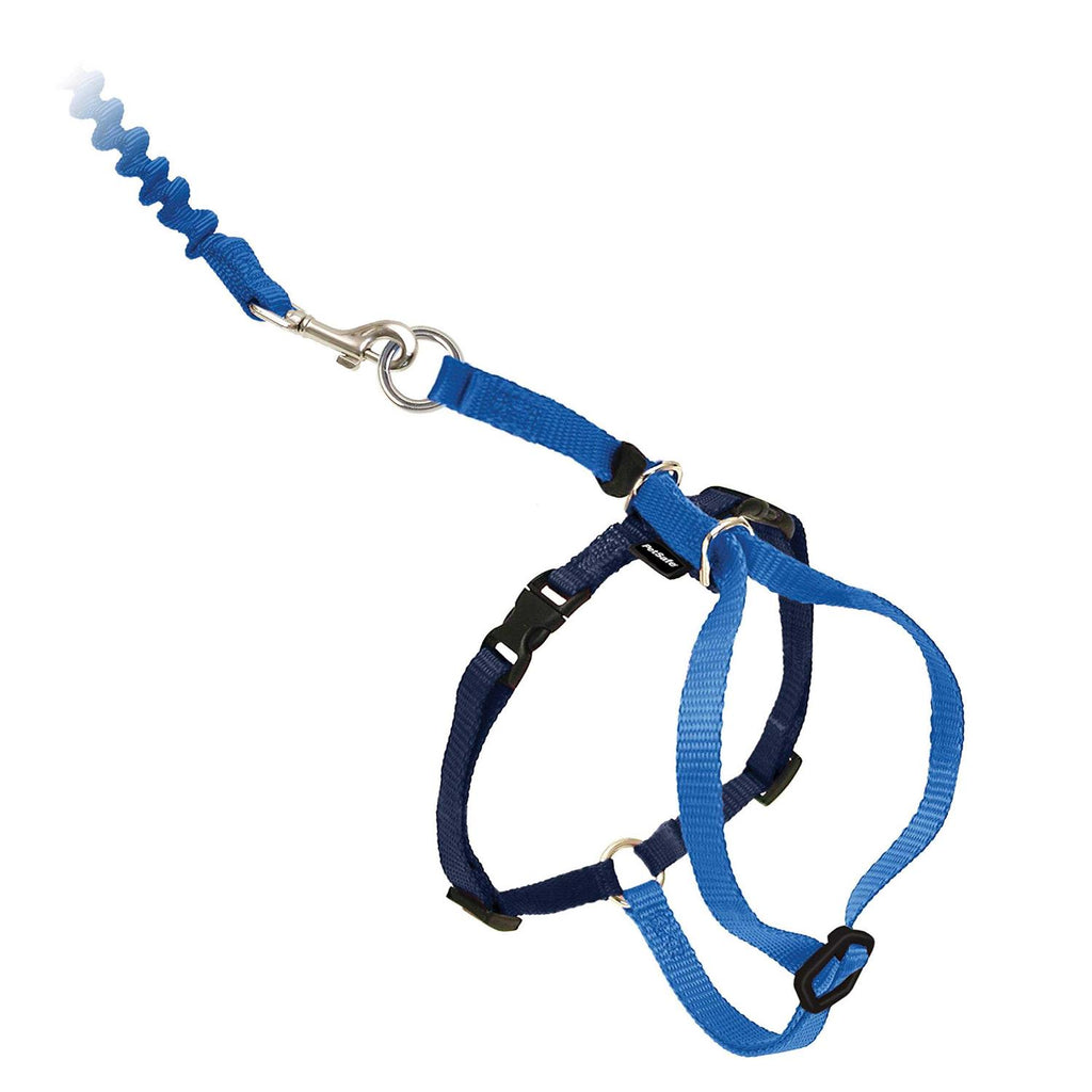 Come with Me Kitty Harness Bungee Leash R701