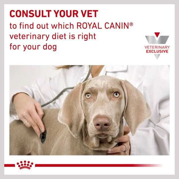 Hydrolyzed Protein Canned Dog Food E343