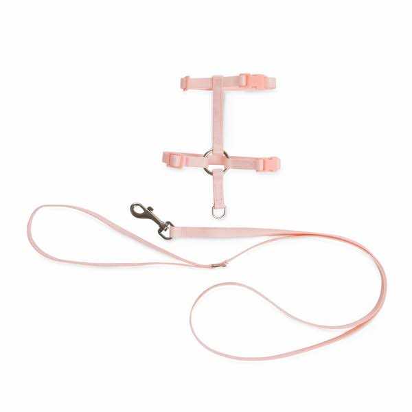 Kitten Harness & Leash Set Z716382