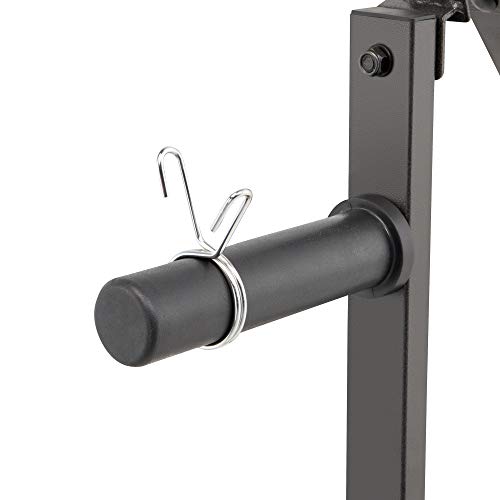 Olympic Weight Plate Tree Weight Storage Rack H810082