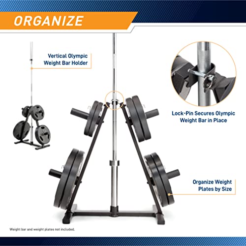Olympic Weight Plate Tree Weight Storage Rack H810082