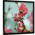 Photographic Print Canvas V632