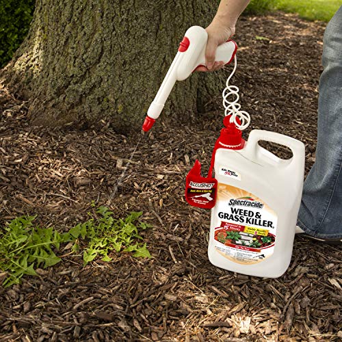 Weed & Grass Killer Refill, 1.3 Gallon Y6578