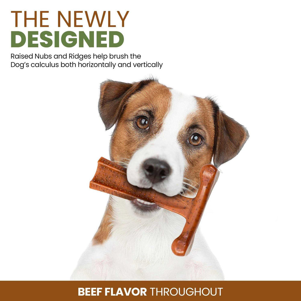 Beef Pet Supplies H83779