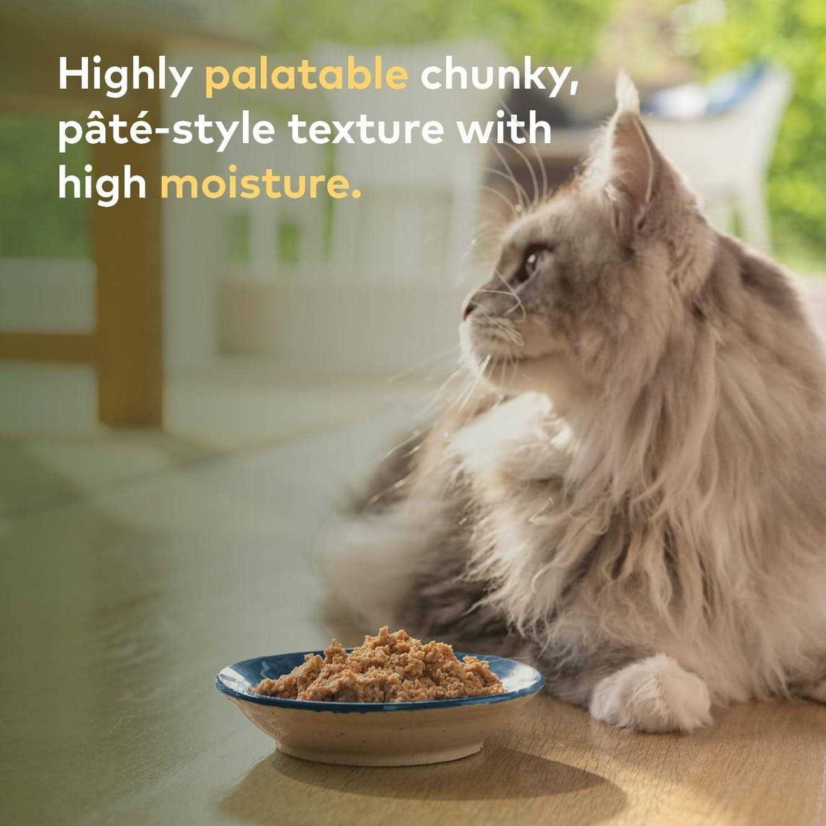 Chicken Recipe Canned Cat Food V83580
