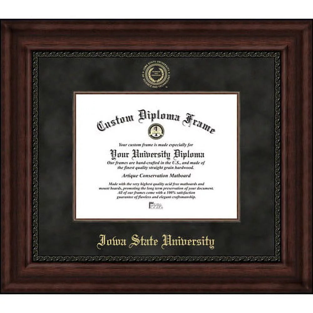 University of Illinois Executive Diploma Frame L845382