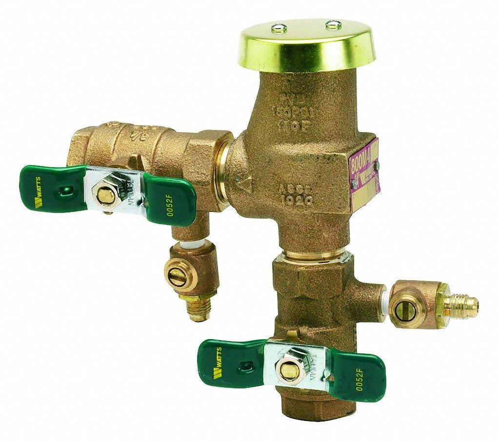 Freeze Resistant Vacuum Breaker I85453