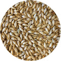 50 lb Sack Munich-style Malt S95135